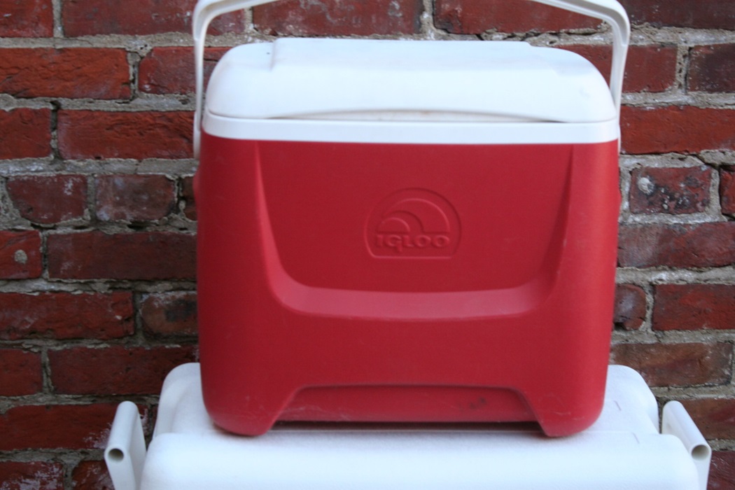 Two Igloo Coolers EBTH